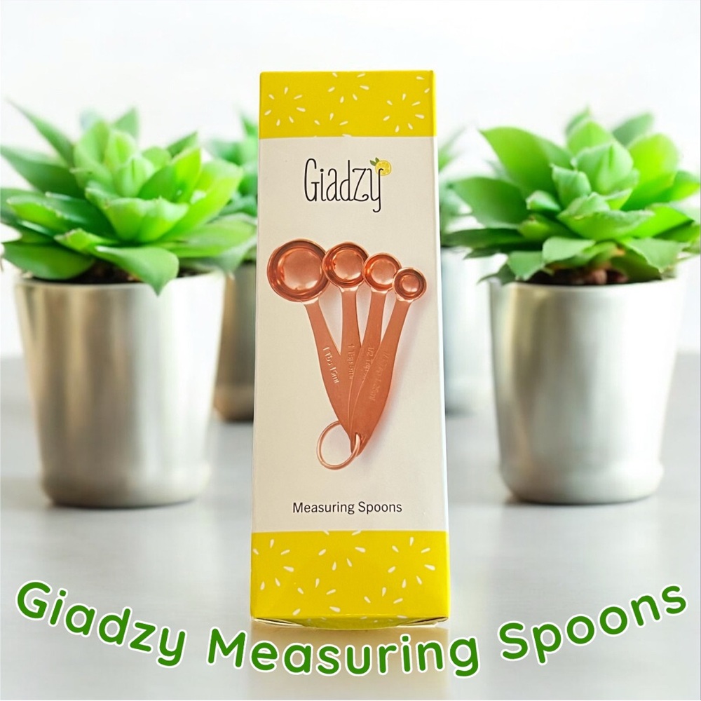 Giadzy Measuring Spoons NWT